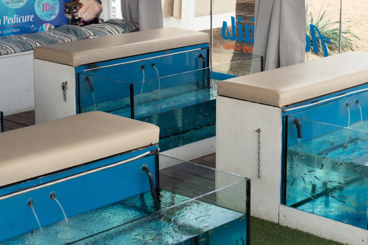 Aqua Tails Fish Spa